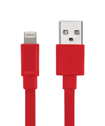 iPhone Cable 10 Nis 